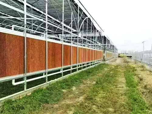 養殖場降溫解決方案
